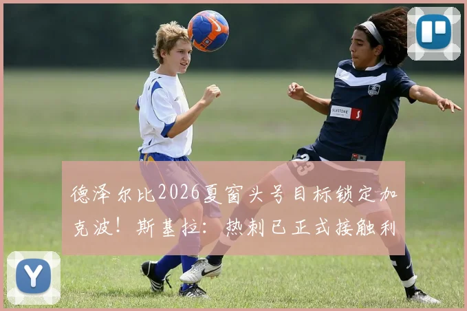 德泽尔比2026夏窗头号目标锁定加克波！斯基拉：热刺已正式接触利物浦展开转会谈判，交易前景分析